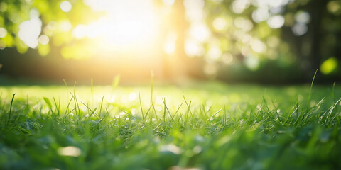 Naklejka premium Generative ai. Lush green grass, warm sunlight, bokeh effect, soft focus, golden hour, nature photography, serene landscape, vibrant colors, shallow depth of field, backlit scene, tranquil atmosphere