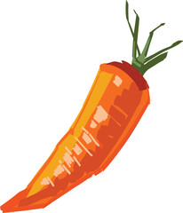 Vector illustration of the carrot isolated on white background