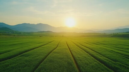 Obraz premium A scenic view of a green field with a sunset behind the mountains.
