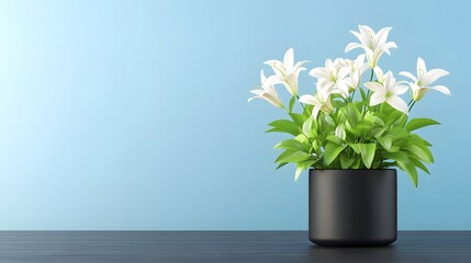 A black pot holds a vibrant arrangement of white flowers against a light blue background, creating a fresh and modern aesthetic.