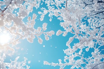 Obraz premium Frost-covered branches under a bright blue sky