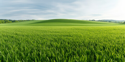 Wide expanse of lush green fields under a partly cloudy sky, showcasing nature's serene beauty and the gentle slope of a distant hill.