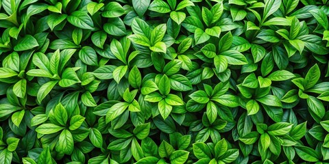A dense and vibrant tapestry of lush, emerald green leaves, showcasing nature's intricate beauty and the captivating allure of foliage.