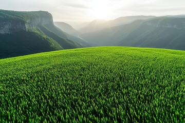 Large green lawn at the edge of a cliff, offering a breathtaking view of the valley below, wide lawn, outdoor, scenery