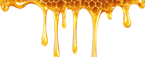 Dripping golden sweet honey flowing down the frame from the top over white and transparent background. PNG
