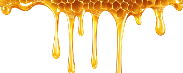 Dripping golden sweet honey flowing down the frame from the top over white and transparent background. PNG