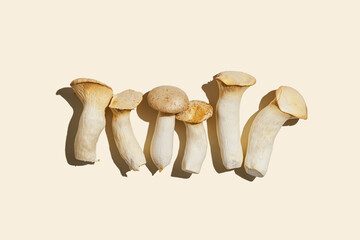 Pleurotus eryngii white mushrooms, edible fungus in minimal style composition on beige background, top view aesthetic food photo, flat lay from whole mushroom, health eating, vegetarian food