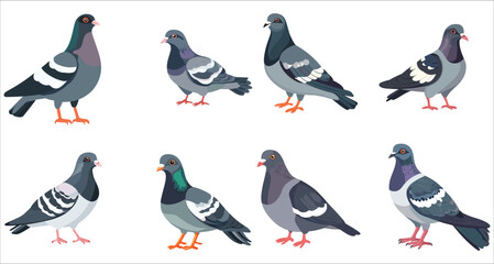 Fototapeta premium Pigeon bird vector set. Flying pigeon vectors. Colorful pigeon vector illustrations. Set of realistic pigeon bird vector. Nature inspired pigeon vectors