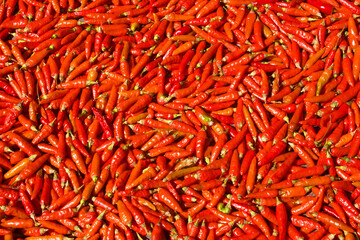 Fototapeta premium fresh chili texture background
