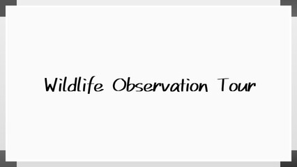 Wildlife Observation Tour のホワイトボード風イラスト