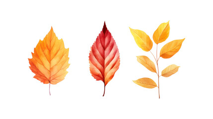 Fototapeta premium Autumn leaf branches are painted in watercolor. Ideal for fall themed designs, seasonal greeting cards, stationery, wedding invitations, and botanical illustrations. Generative AI