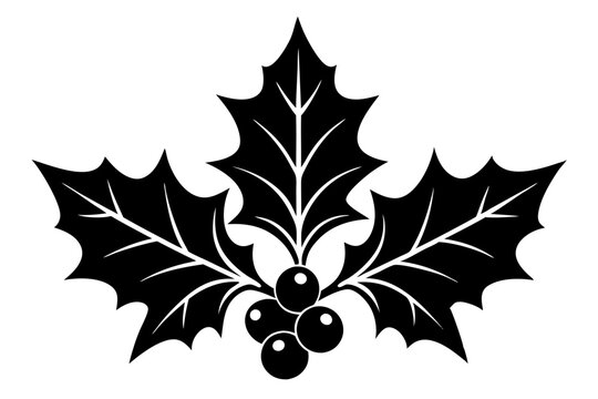 recommend clip art: christmas holly  silhouette ,holly illustration