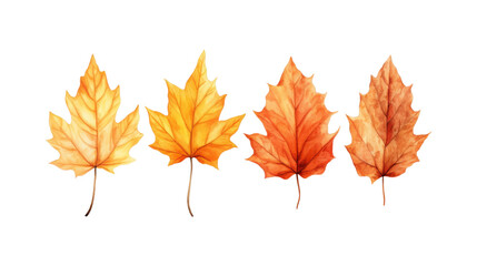 Autumn leaf branches are painted in watercolor. Ideal for fall themed designs, seasonal greeting cards, stationery, wedding invitations, and botanical illustrations. Generative AI