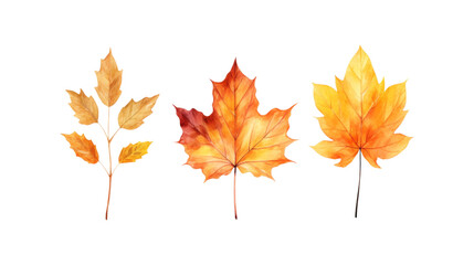 Autumn leaf branches are painted in watercolor. Ideal for fall themed designs, seasonal greeting cards, stationery, wedding invitations, and botanical illustrations. Generative AI