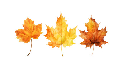 Autumn leaf branches are painted in watercolor. Ideal for fall themed designs, seasonal greeting cards, stationery, wedding invitations, and botanical illustrations. Generative AI