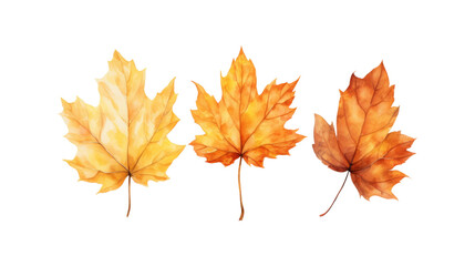 Fototapeta premium Autumn leaf branches are painted in watercolor. Ideal for fall themed designs, seasonal greeting cards, stationery, wedding invitations, and botanical illustrations. Generative AI