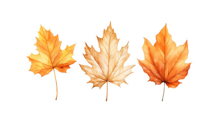 Autumn leaf branches are painted in watercolor. Ideal for fall themed designs, seasonal greeting cards, stationery, wedding invitations, and botanical illustrations. Generative AI