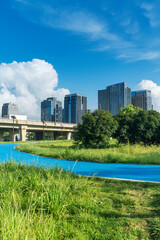 Naklejka premium spring park and modern city