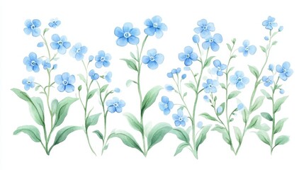 Delicate Watercolor Vector of Light Blue Forget-Me-Nots with Soft Green Foliage on White Background - Hand-Drawn Look