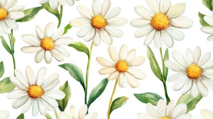 Fototapeta premium Delicate Watercolor White Daisies Floral Pattern on White Background - Vector Illustration