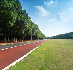 New pathway and beautiful trees track for running or walking and cycling relax in the park