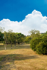 Beautiful panorama of green city park