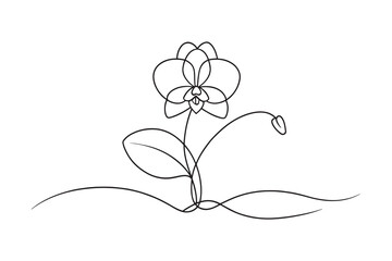 Orchid flower isolated continuous line art flat vector illustration on white background.