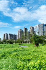 Fototapeta premium city park with modern building background in shanghai