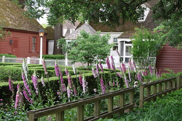 garden with foxglove flowers © brandon