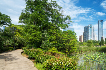 spring park and modern city