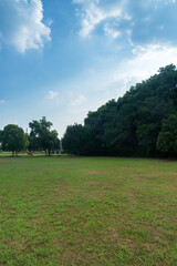 Beautiful panorama of green city park