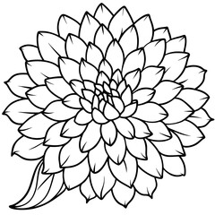 November-birth-flower