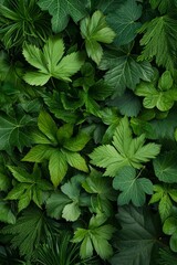 Lush Green Foliage Abstract Pattern - Detailed Macro View of Diverse Leaf Texture, Tranquil Nature Background for Design Projects
