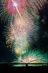 水郷おみがわ花火大会 緑