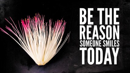 inspirational and motivational words or quotes be the reason someone smiles today. quotes and sayings about life, wisdom, positive, Uplifting, empowering, success.