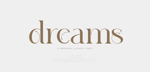 Modern luxury beauty font alphabet logo. Typography beautiful minimal elegant classic letter serif fonts fashion wedding vintage retro logos. vector illustration