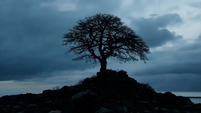 A lone leafless tree stands starkly silhouetted against a cloudy dusky sky atop a rocky hill, evoking a sense of isolation and solitude in nature's twilight.