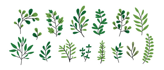 Leaf vector set,  elements for design , Leaves  on White Background