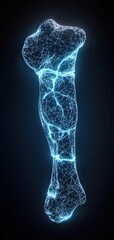 Futuristic digital bone structure on a dark background, glowing blue lines.