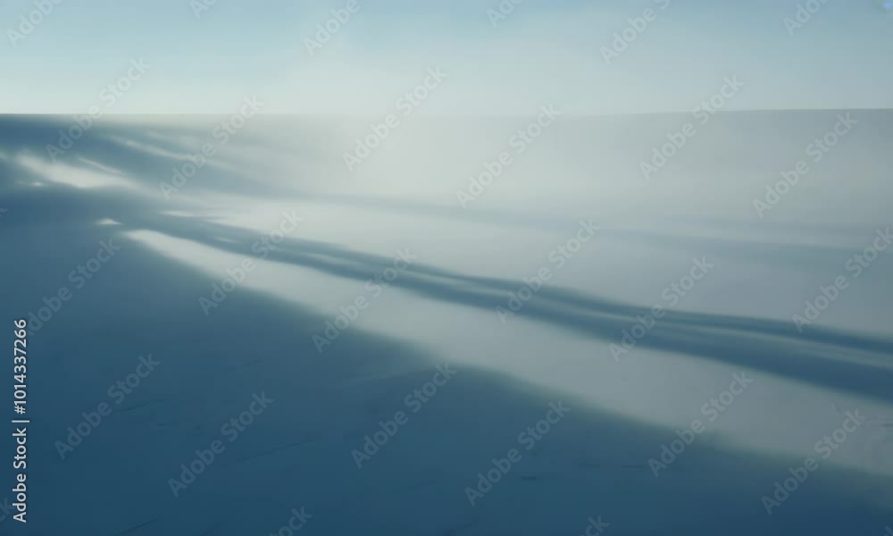 Poster long shadows stretch across a snow covered field illuminated by a soft hazy light