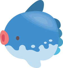 Mola fish illustration