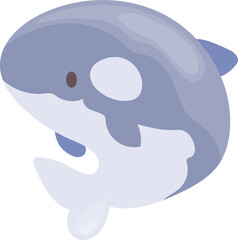 Orca illustration