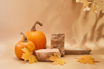 Autumn empty podium with autumn leaves and pumpkins.