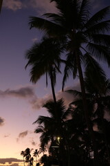 Naklejka premium Sunset View of Waikiki Beach in Honolulu, Hawaii, USA - アメリカ ハワイ ホノルル ワイキキビーチ 夕日