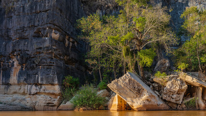 Obraz premium A pile of bizarre boulders, sheer limestone cliffs near the shore of an exotic African river. Green vegetation on the rocks. Calm red-brown water. Madagascar. Manambolo river.