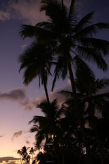 Sunset View of Waikiki Beach in Honolulu, Hawaii, USA - アメリカ ハワイ ホノルル...