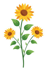 Fototapeta premium Sunflower Branch With Blossoming Flowers Vector Illustration On White Background