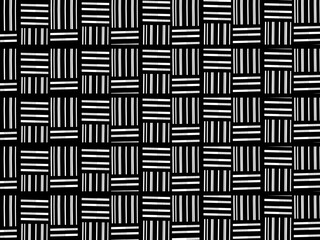 Seamless vector abstract geometric pattern. Woven textile fabric with black and white crossed straight lines. Background texture in a diagonal arrangement. Black and White Hypnotic Background.