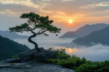 Obraz premium Lone pine tree standing on a rock overlooking a valley of fog at sunrise