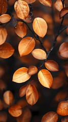 Brown plant leaves in autumn season, brown background